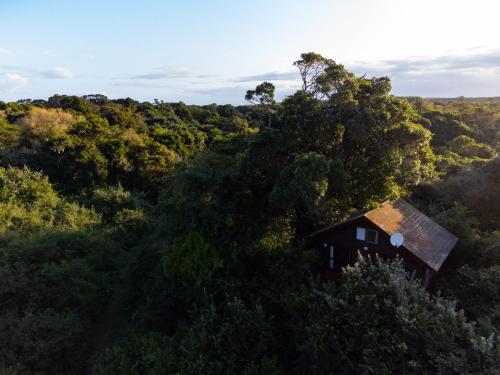 a small house in the middle of a forest at Mtunzini Forest Lodge Self Catering Resort in Mtunzini