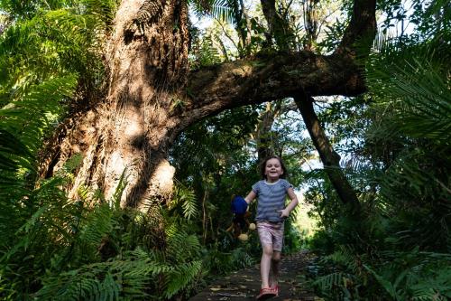 a young child walking on a path in the jungle at Mtunzini Forest Lodge Self Catering Resort in Mtunzini