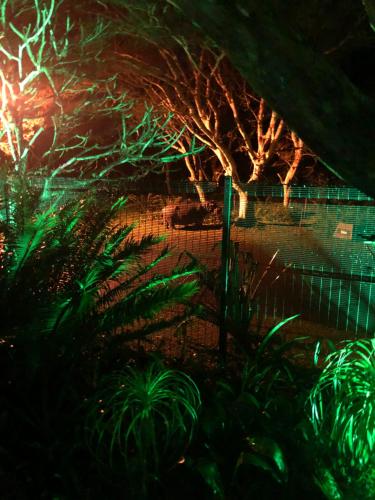 a view of a garden at night with green lights at Leopard Corner Lodge in St Lucia