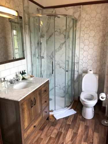 a bathroom with a shower with a toilet and a sink at Cavell House in Inverness