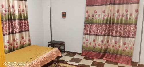 a bedroom with a bed and a curtain and a floor at Tut flat in Luxor