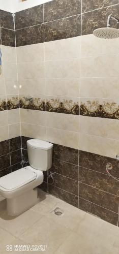 a bathroom with a toilet and a tiled wall at Tut flat in Luxor