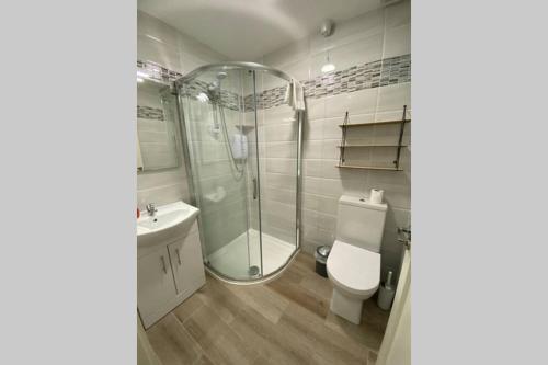 a bathroom with a shower and a toilet and a sink at Apt 3 Silver Spruce - Killarney Town Free Parking in Killarney
