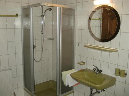 een badkamer met een douche, een wastafel en een spiegel bij Ferienwohnung Dengg in Stummerberg