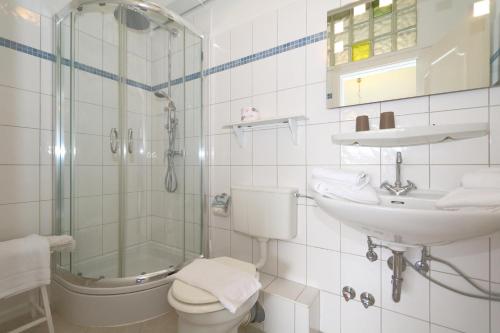 a bathroom with a toilet and a sink and a shower at Teewelkenhues-Wiesenappartement in Archsum