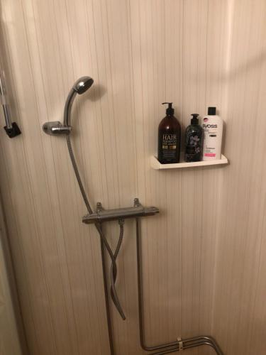 a shower in a bathroom with a shelf on the wall at Långhedgården Bed & Breakfast in Alfta