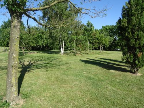 a field of grass with trees and a tree trunk at La Lauriére in Treize-Vents