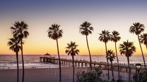 a group of palm trees on a beach with a pier at Holiday Inn Los Angeles - LAX Airport, an IHG Hotel in Los Angeles