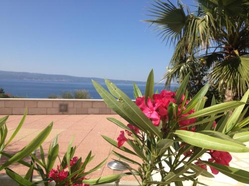 una planta con flores rosas y vistas al océano en Villa La Domazet, en Podstrana