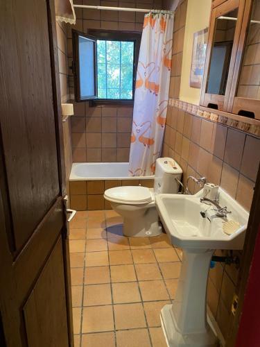 uma casa de banho com um WC e um lavatório em Casa junto al bosque em Bescanó