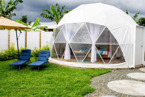 a iguana tent in a yard with chairs at Orange Glamping in Quimbaya