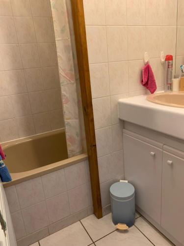 une salle de bain avec une douche, des toilettes et un lavabo dans l'établissement Studio Embrun à 10 mn à pied plan d eau de 2 à 4 personnes sans linge de lit ni serviettes situé 3 chemin de chadenas, à Embrun