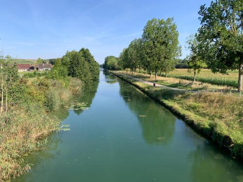 a river with trees on the side of it at Champagne & Grand Cru in Ay