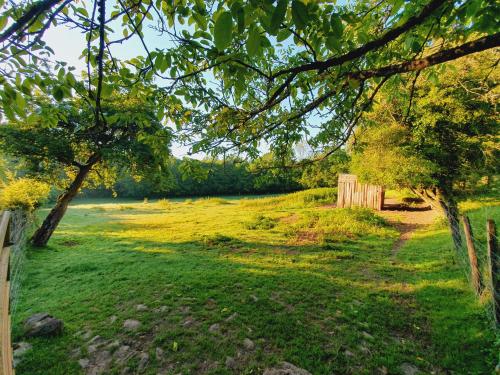 a grassy field with a fence and trees at Ferme équestre & Chambres d'hôtes Gateau Stables proche Guédelon in Saint-Amand-en-Puisaye