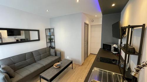 Una sala de estar con un sofá y un televisor. en Bienvenue chez vous "appartement classé 2 étoiles en RDC avec espace extérieur et parking", en Dole