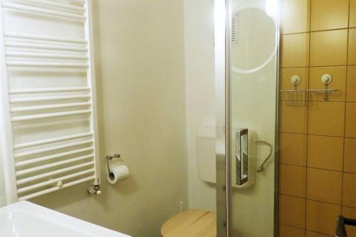 een badkamer met een douche, een toilet en een wastafel bij SMB Studio Poarta Schei in Braşov