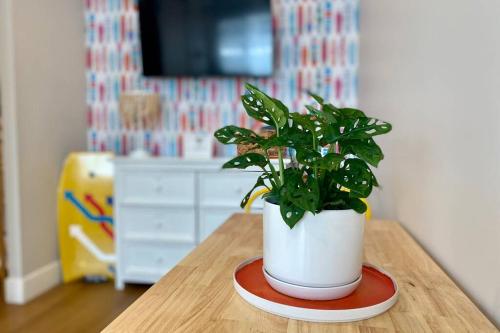 a potted plant sitting on top of a wooden table at Steps To The Beach, Pacific City and Main Street - #2 in Huntington Beach
