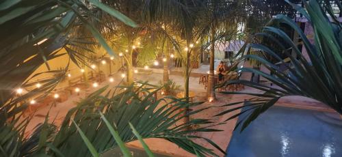 Hotel Iker के बाहर एक बगीचा