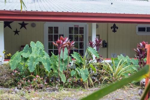 a garden in front of a house at Lokahi Lodge in Volcano