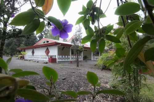 a house with a purple flower in front of it at Lokahi Lodge in Volcano