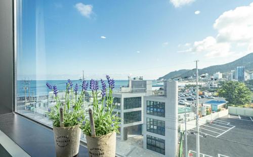 a balcony with two potted plants and a view of a city at Songjeong Blue Castle Hotel in Busan