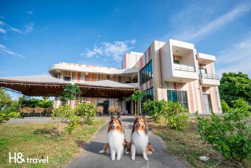 Domácí mazlíčci ubytovaní s hosty v ubytování Taitung Rainbow Pet Friendly Maison Resort