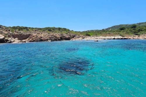 a turtle swimming in the water near a beach at Lettu di Ita - Spectacular Gallura Stazzu with sea view and pool in Santa Teresa Gallura
