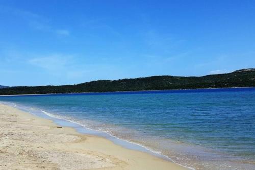 a beach with blue water and trees in the background at Lettu di Ita - Spectacular Gallura Stazzu with sea view and pool in Santa Teresa Gallura