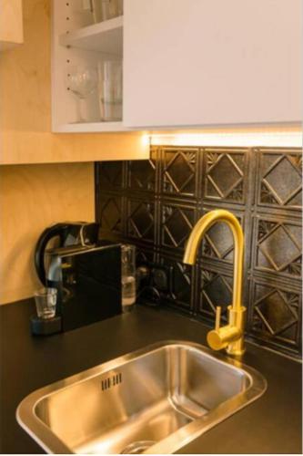 un comptoir de cuisine avec un évier et un micro-ondes dans l'établissement L'ÉVASION - COZY - RBNB, à Strasbourg