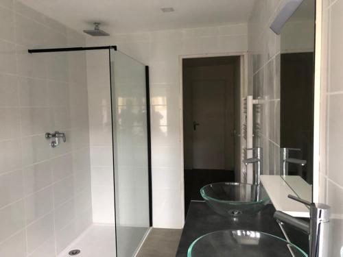 een badkamer met een wastafel en een glazen douche bij Les villas d'Hannogne in Hannogne-Saint-Martin