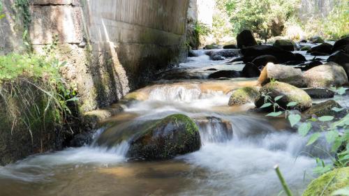 a stream of water with rocks in a river at Résidence SoAnSa du Gérardmer - Col de la Schlucht in Soultzeren