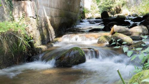 a stream of water with rocks in a river at Résidence SoAnSa du Gérardmer - Col de la Schlucht in Soultzeren