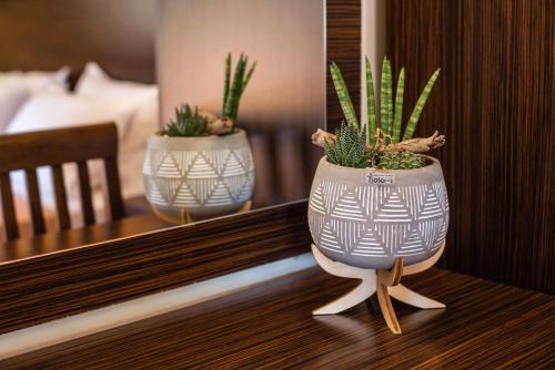two potted plants sitting on a table in a bedroom at Makis studios By La skala Vista in Skala Kefalonias