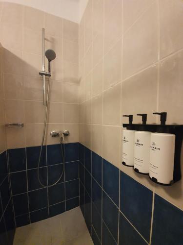 La salle de bains est pourvue d'une douche avec du carrelage bleu et blanc. dans l'établissement Appartement Strasbourg Cathédrale, à Strasbourg