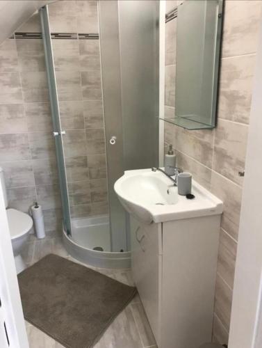 a bathroom with a sink and a shower and a toilet at Apartment Oskar in HoÅ¡Å¥ka