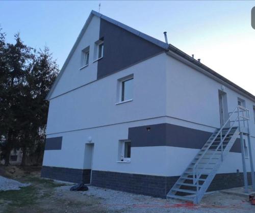 a large white building with a ladder next to it at Apartment Oskar in HoÅ¡Å¥ka