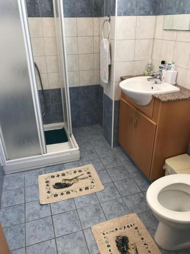 ein Bad mit einer Dusche, einem WC und einem Waschbecken in der Unterkunft Protaras, Janas apartment in Protaras