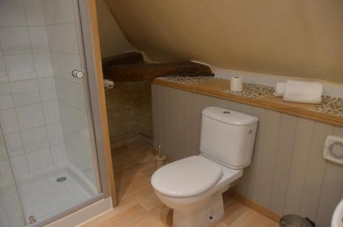 a small bathroom with a toilet and a shower at Le Murmure des Fées in Issigeac