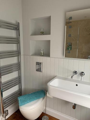 a white bathroom with a sink and a toilet at Wonderful Home and parking, pets allowed in Tenby