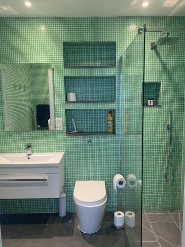 a bathroom with a shower and a toilet and a sink at Beautiful Tenby House, sleeps 10, pets allowed in Tenby