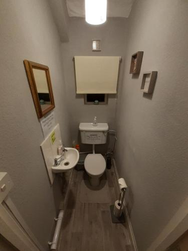 un piccolo bagno con servizi igienici e lavandino di Caversham Lodge a Reading