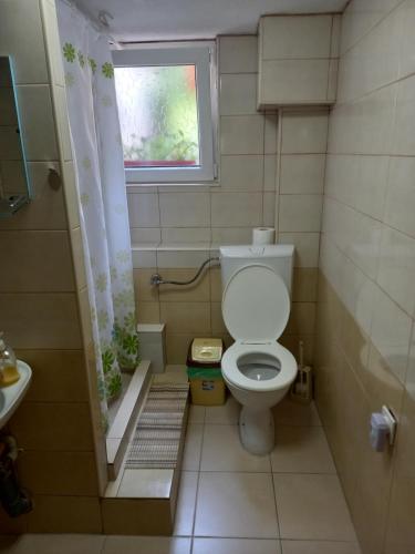 un piccolo bagno con wc e finestra di Apartment Mirko a Ohrid