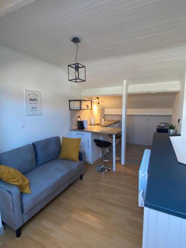 un salon avec un canapé et une table dans l'établissement Les Cosy De Nancy - Le nid douillet - 4*, à Nancy