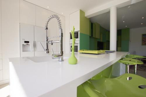 une cuisine avec un évier et un vase sur un comptoir dans l'établissement SUPERBE MAISON DE VILLE, à Cannes