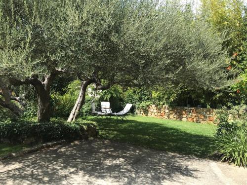 a bench under a tree in a yard at Chambre d'Hôtes "La Cabrière" in Salernes