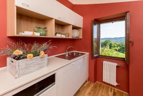 a kitchen with red walls and a sink and a window at I Casali di Villa Benveduti in Gubbio