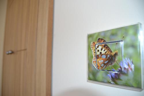 a television screen with a butterfly on a flower at Casa Rural El Dolmen in Bernúy-Salinero