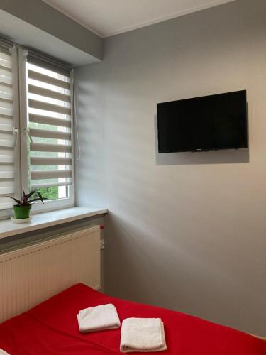 Televisyen dan/atau pusat hiburan di Hostel Karpacki Szymon Szczepan