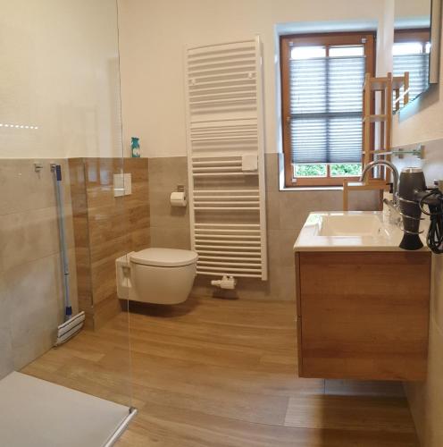 a bathroom with a toilet and a sink and a shower at Haus Lydia incl Pitztal Sommercard in Wenns