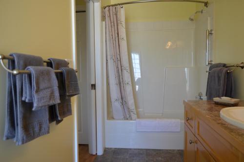 a bathroom with a shower and a sink at Dogwood Bed & Breakfast in Summerland